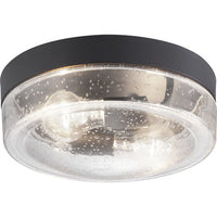 Weldon Collection Two-Light Flush Mount - Damp Location Listed - Model P550042-031