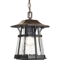 Derby Collection One-Light Hanging Lantern - Damp Location Listed