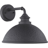 Englewood Collection One-Light Medium Wall Lantern - Wet Location Listed - Model P560098-103