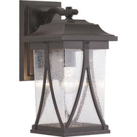 Abbott Collection One-Light Medium Wall Lantern - Wet Location Listed - Model P560114-020