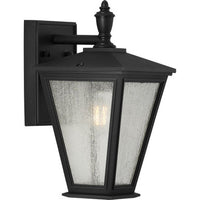 Cardiff Collection One-Light Small Wall Lantern with DURASHIELD - Wet Location Listed