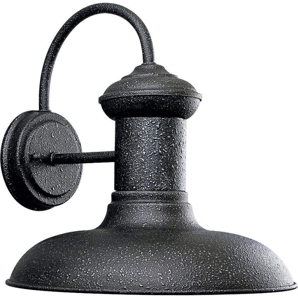 Brookside Collection One-Light Large Wall Lantern - Wet Location Listed - Model P5723-81