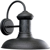 Brookside Collection One-Light Large Wall Lantern - Wet Location Listed - Model P5723-81
