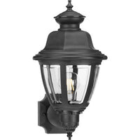 Non-Metallic Incandescent One-Light Wall Lantern - Wet Location Listed - Model P5738-31