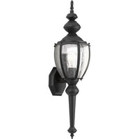 Roman Coach One-Light Medium Wall Lantern - Wet Location Listed - Model P5767-31