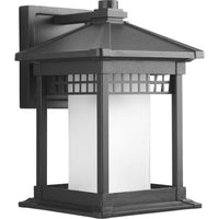 Merit Collection One-Light Wall Lantern - Wet Location Listed - Model P6002-31