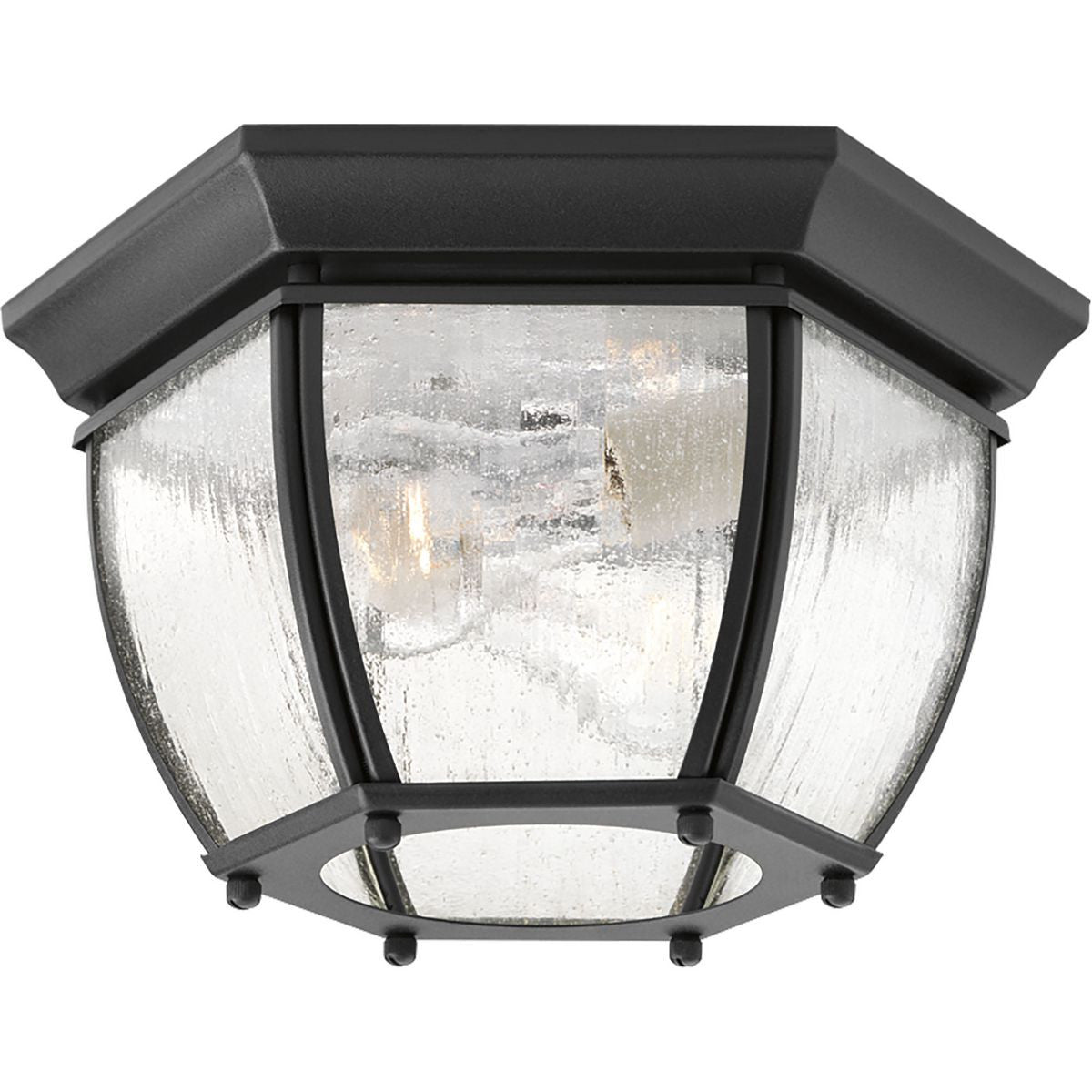 Progress Lighting Outdoor Light - Roman Coach Collection Two-Light 11" Flush Mount - Model P6019-31