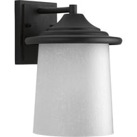 Essential Collection One-Light Medium Wall Lantern - Wet Location Listed - Model P6060-31