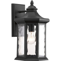 Edition Collection One-Light Large Wall Lantern - Wet Location Listed - Model P6072-31