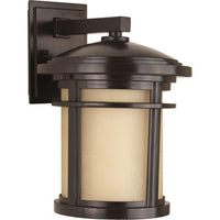 Wish Collection One-Light Medium Wall Lantern - Wet Location Listed - Model P6085-20