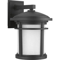 Wish Collection One-Light Medium Wall Lantern - Wet Location Listed - Model P6085-31