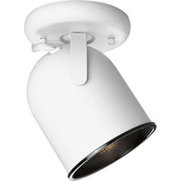 One-Light Multi Directional Roundback Wall/Ceiling Fixture - Damp Location Listed - Model P6144-30