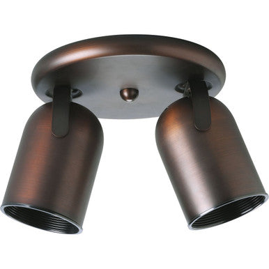 Two-Light Multi Directional Roundback Wall/Ceiling Fixture - Damp Location Listed - Model P6149-174