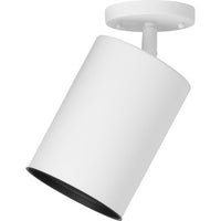 One-Light Multi Directional Wall/Ceiling Heat Lamp