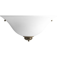 One-Light Incandescent Wall Sconce - Dry Location Only - Model P7153-20W