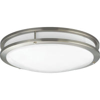 One-Light 14