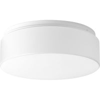 One-Light 11