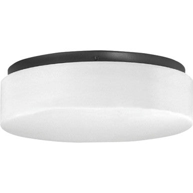 One-Light 11
