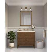 Quillan Collection Three-Light Soft Gold Transitional Bath & Vanity Light - Damp Location Listed