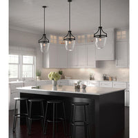 Parkhurst Collection One-Light New Traditional Matte Black Clear Glass Mini-Pendant Light - Dry Location Listed