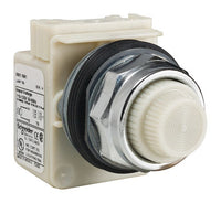Pilot Light , Standard, Type K, Size 30Mm, Lens Type Plastic (Fresnel) - 9001KP1W31