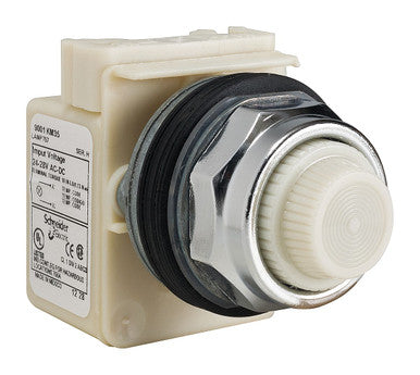 Pilot Light , Standard, Type K, Size 30Mm, Lens Type Plastic (Fresnel) - 9001KP35W31