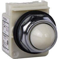 Electric White Led Control Station Indicator, 30MM Cutout, IP66, 120 V Ac/dc - 9001KP38LWW9