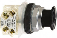 Pushbutton, Non-Illuminated Black Mush, Moment, 1NO-1NC, 30mm, 10A, 600V, NEMA 4/13 - 9001KR24BH13