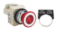 Switch Push Button N.O./N.C. DPST Mushroom Button 10A 600VAC Maintained Contact Screw Clamp Panel Mount - 9001KR9P35LRRH13