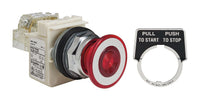 Switch Push Button N.O./N.C. DPST Mushroom Button 10A 600VAC Maintained Contact Screw Clamp Panel Mount - 9001KR9P35RH13