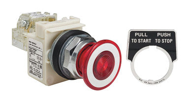Switch Push Button N.O./N.C. DPST Mushroom Button 10A 600VAC Maintained Contact Screw Clamp Panel Mount - 9001KR9P38LRRH13