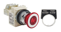 Switch Push Button N.O./N.C. DPST Mushroom Button 10A 600VAC Maintained Contact Screw Clamp Panel Mount - 9001KR9P38LRRH13