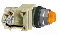 Accessory; Panel Mount Indicator; PILOTLIGHT 120VAC 30MM TYPE K - 9001KT38LR