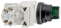 Pushbutton 600Vac 10Amp 30Mm Sk +Options |Square D By Schneider Electric 9001SK2L38LGGH13 - 9001SK2L38LGGH13