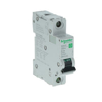 Miniature Circuit Breaker, C60SP Series, 2A, 1 Pole, 240/415V AC, 14kA at 120/240V AC, B Curve - M9F21102