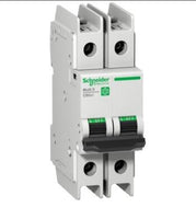 Circuit Breaker; Miniature; Multi9; 2P; 2A; D-Curve; Branch Protection - M9F43202