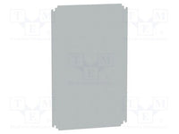 Internal door for Spacial WM enclH1000xW600 steel; RAL7035Adjustable in depth - NSYMPP64
