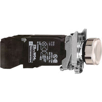 Switch Push Button N.O./N.C. DPST Flush Round Button 6A 600VAC 600VDC Screw Clamp Panel Mount - XB4BW3135
