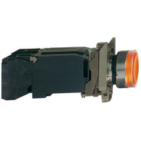 Switch Push Button N.O./N.C. DPST Flush Round Button 6A 600VAC 600VDC Screw Clamp Panel Mount - XB4BW3545