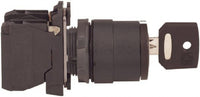 Switch Key Lock N.O. DPST 45° Flat Key 6A 600VAC 600VDC Screw Clamp 1000000Cycles Panel Mount - XB5AG03