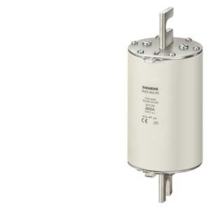 Siemens AG Sitor - 3NE7636-1C