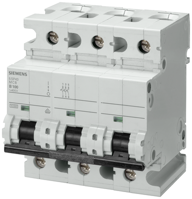 Siemens CIRCUIT BREAKER 10KA 3POL D100 - 5SP4391-8