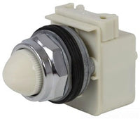Pilot Light , Standard, Type K, Size 30Mm, Lens Type Plastic (Fresnel) - 9001KP38LWW31