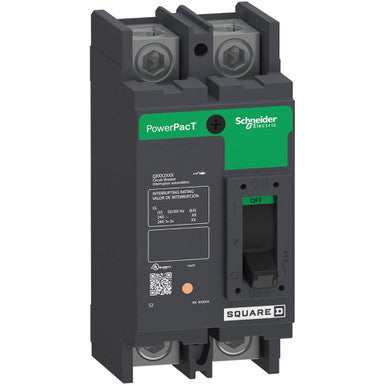 Molded Case Circuit Breaker, POWERPACT Q Series, 100A, 2 Pole, 240V AC, 10kA at 240V AC - QBL22100