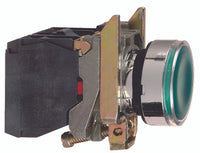 Pushbutton Switch, DPST, Momentary, 0.55A, 125VDC, Screw Terminal, Panel Mount - XB4BW3365