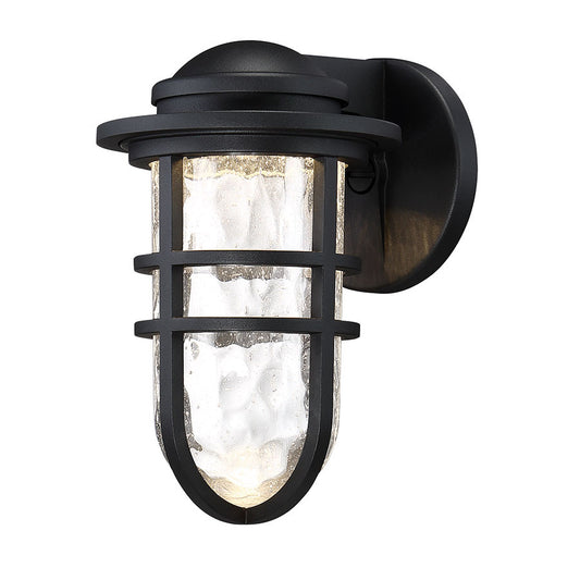 Steampunk 9in. LED Outdoor Wall Sconce Light 3000K in Black