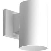 Turtle Friendly Wall Light - White Downlight Wall Cylinder - Non Corrosive - Wet Location Listed - Model P5712-30