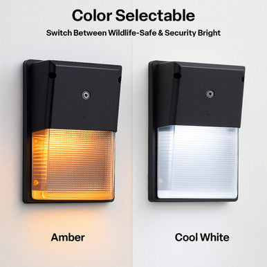 LED Turtle Friendly Wallpack - Color Selectable 4000K Cool White or Amber - 20 Watt - 120-277V - Black Finish - Integrated Photocell - TURTLE SAFE