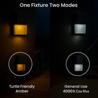 LED Turtle Friendly Wallpack - Color Selectable 4000K Cool White or Amber - 20 Watt - 120-277V - Black Finish - Integrated Photocell - TURTLE SAFE