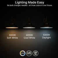 LED Outdoor Gooseneck Wall Lights - Large 40 Watts - 4800 Lumens - Color Selectable 30K/40K/50K - 120-277V - Integrated Photocell - Bronze Finish
